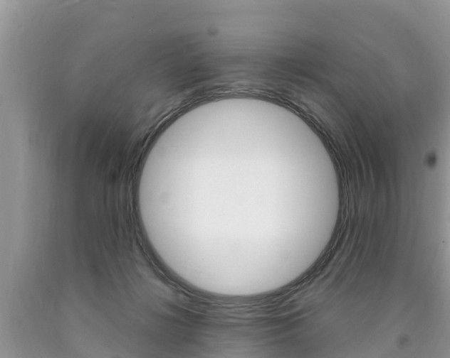 X0000090770268200707201120