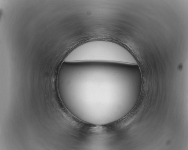 X0000090770269200707201120