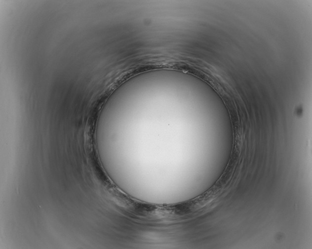 X0000090770270200707201120
