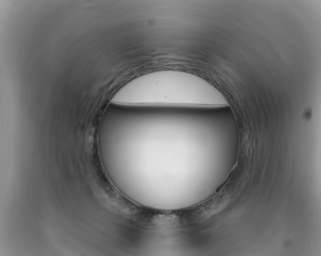 X0000090770271200707201120