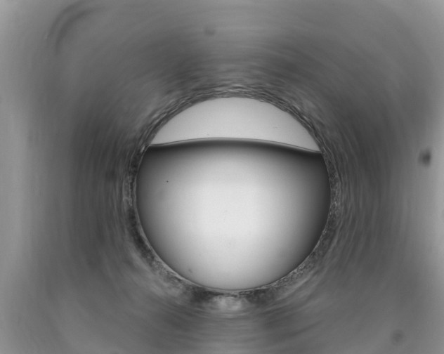 X0000090770272200707201120