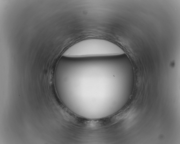 X0000090770273200707201120
