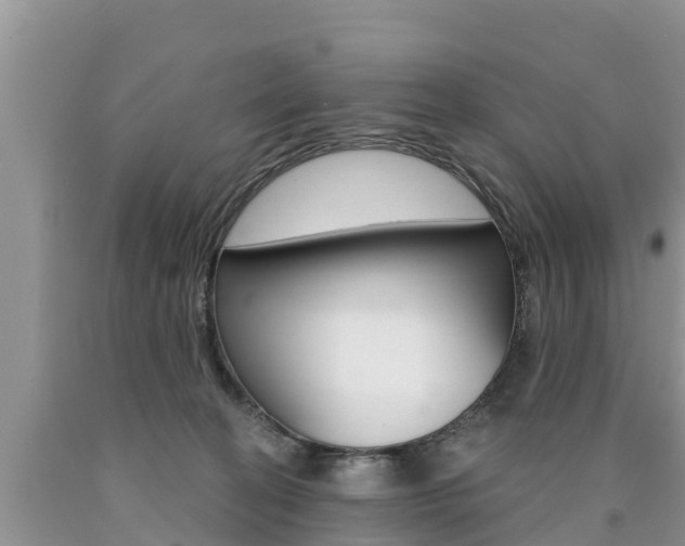 X0000090770274200707201120