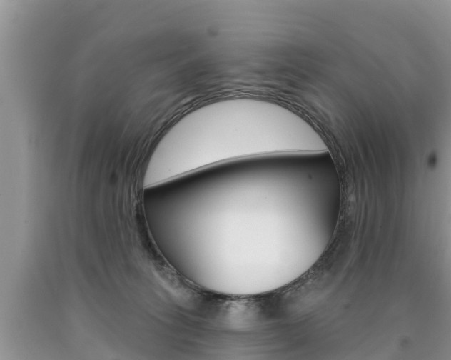 X0000090770275200707201120