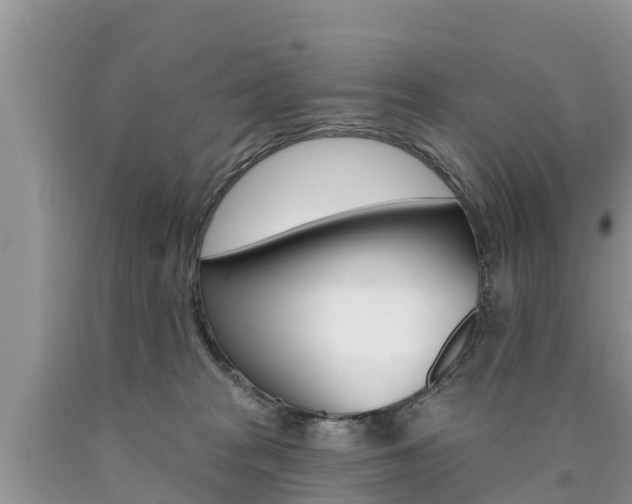 X0000090770277200707201120