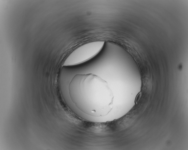 X0000090770278200707201120