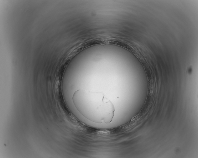 X0000090770279200707201120