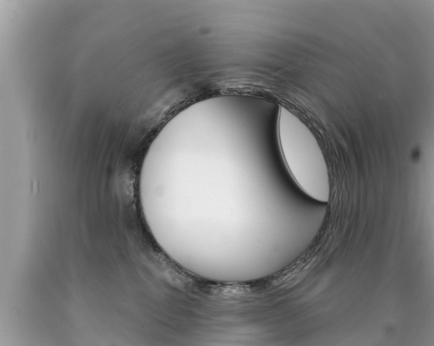 X0000090770282200707201121