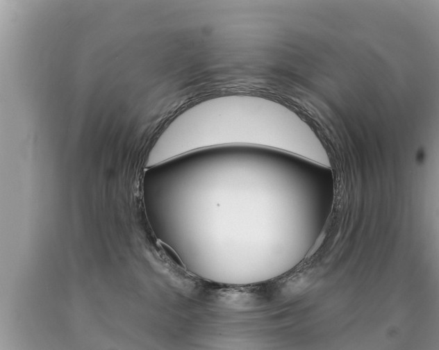 X0000090770284200707201121