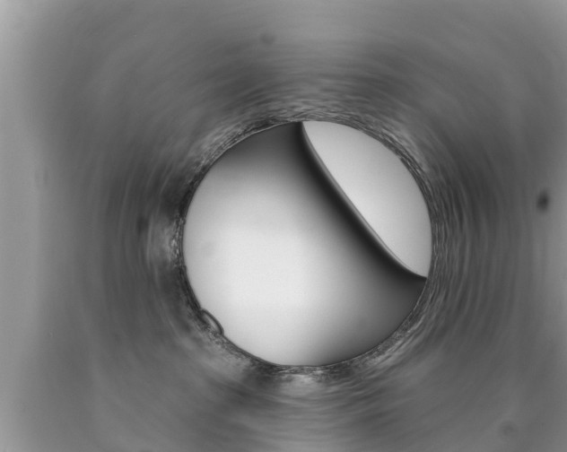 X0000090770285200707201121