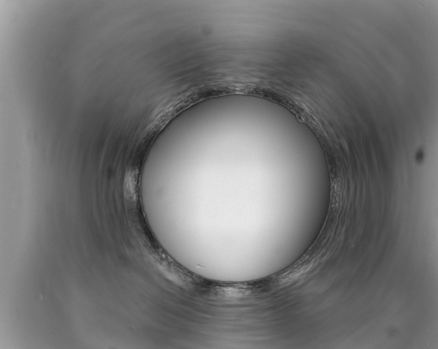 X0000090770286200707201121