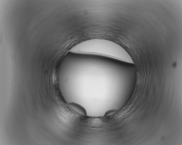 X0000090770287200707201121