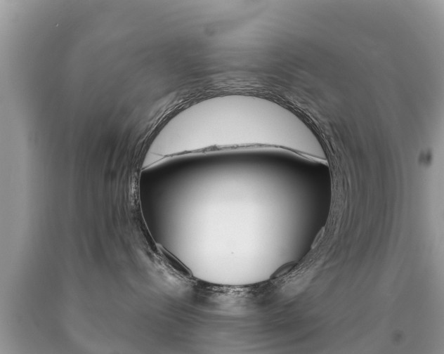 X0000090770288200707201121