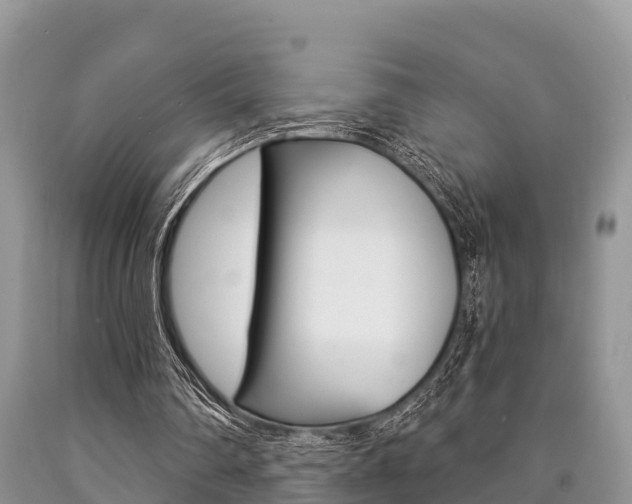 X0000090770290200707201120