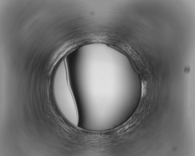 X0000090770291200707201120