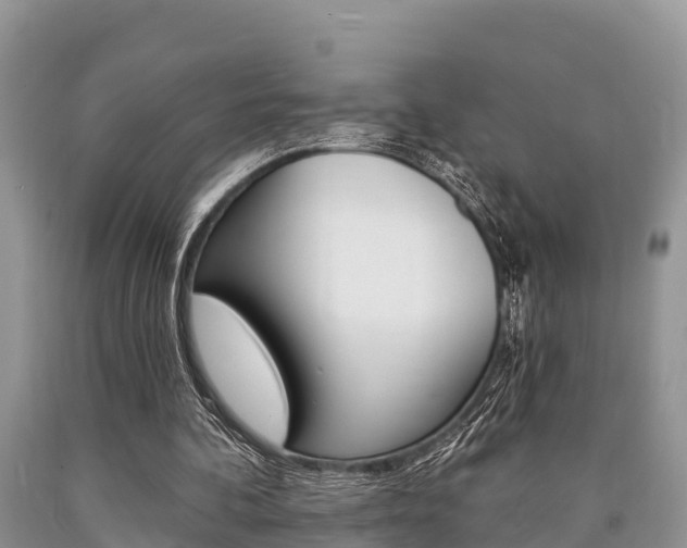 X0000090770292200707201120