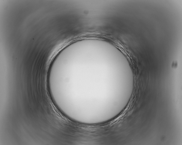 X0000090770293200707201120