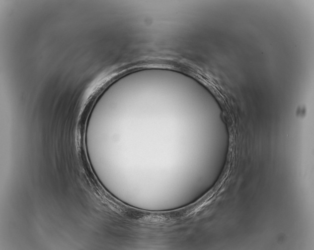 X0000090770294200707201120