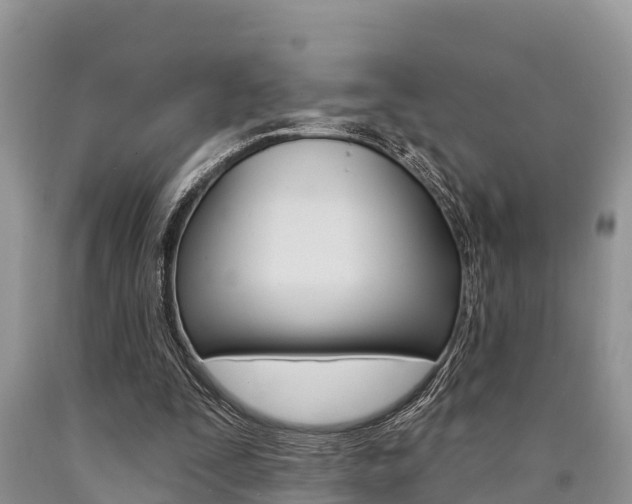 X0000090770295200707201120