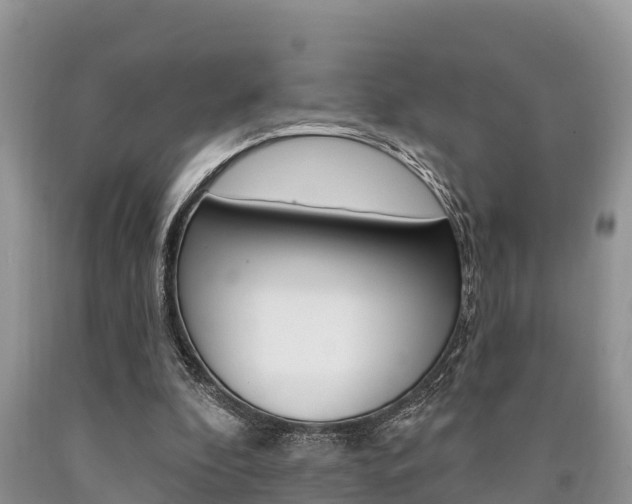 X0000090770296200707201120