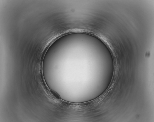 X0000090770297200707201120