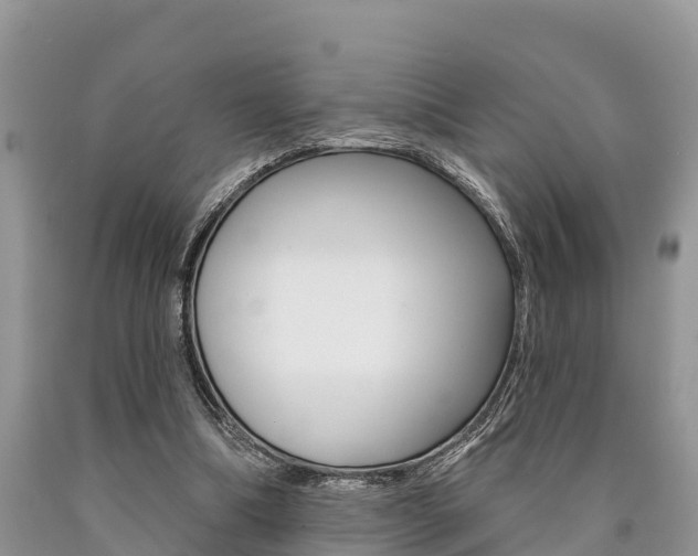 X0000090770298200707201120