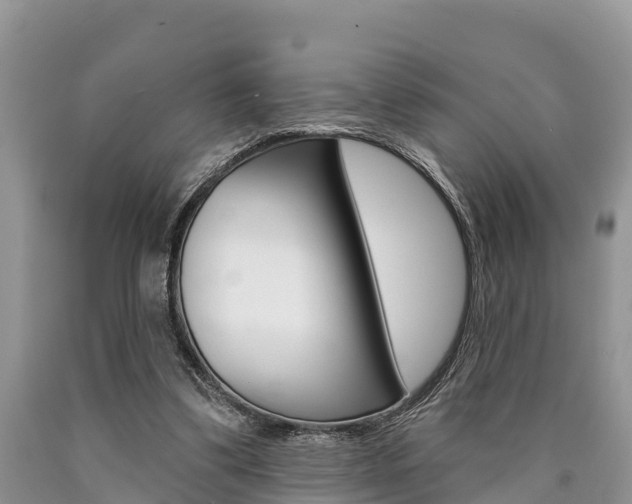 X0000090770299200707201120