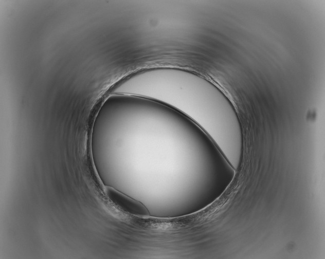 X0000090770301200707201120