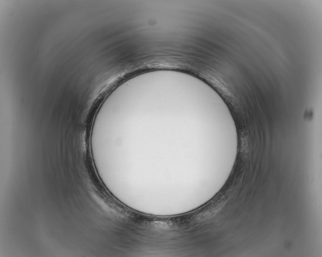 X0000090770302200707201120