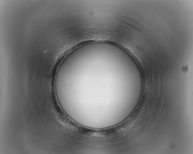 X0000090770303200707201120