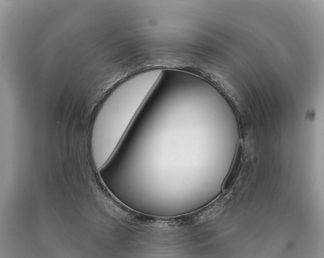 X0000090770305200707201120