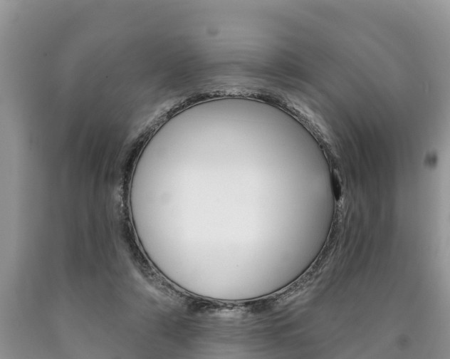 X0000090770306200707201120