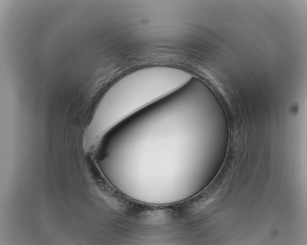 X0000090770307200707201120