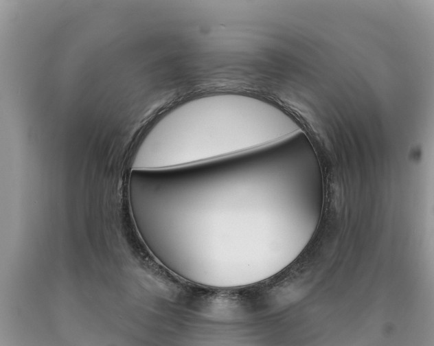 X0000090770308200707201120