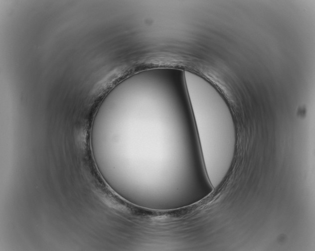 X0000090770309200707201120