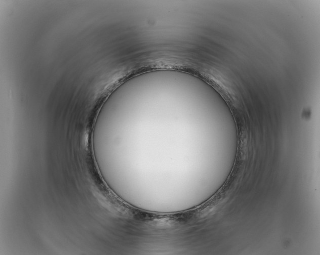 X0000090770310200707201120