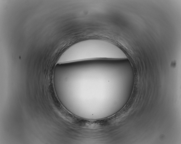 X0000090770311200707201120