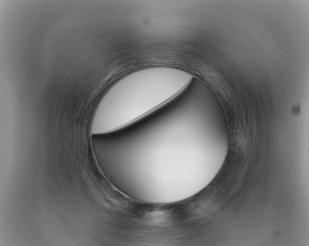 X0000090770312200707201120