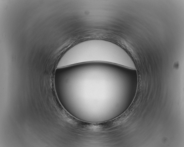 X0000090770313200707201120