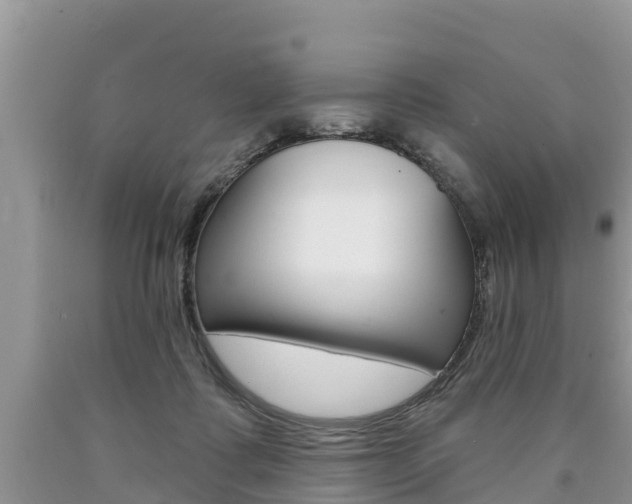 X0000090770315200707201119