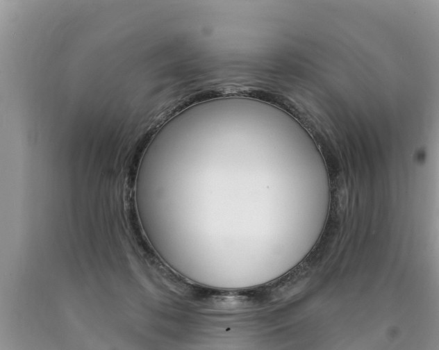 X0000090770316200707201119
