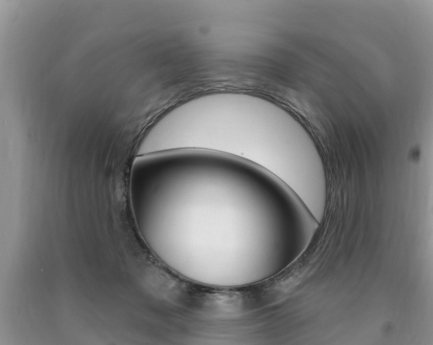X0000090770317200707201119