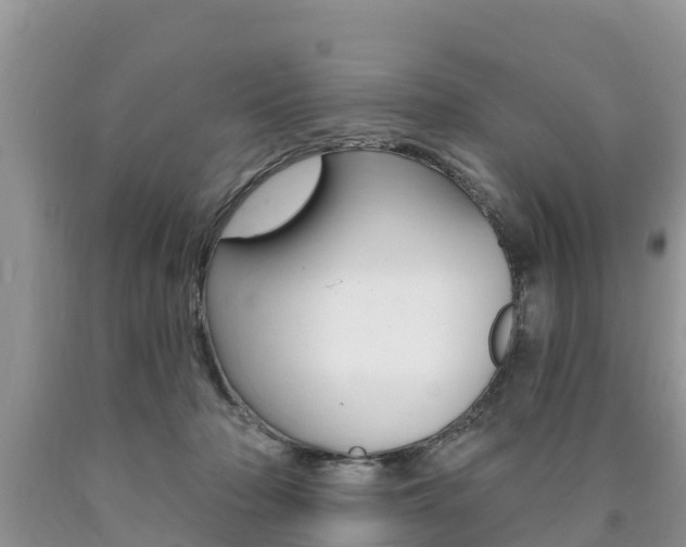 X0000090770318200707201119