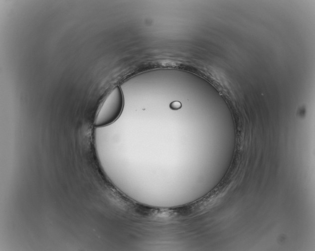 X0000090770321200707201119
