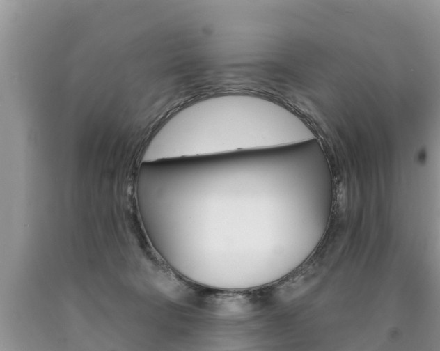 X0000090770322200707201119