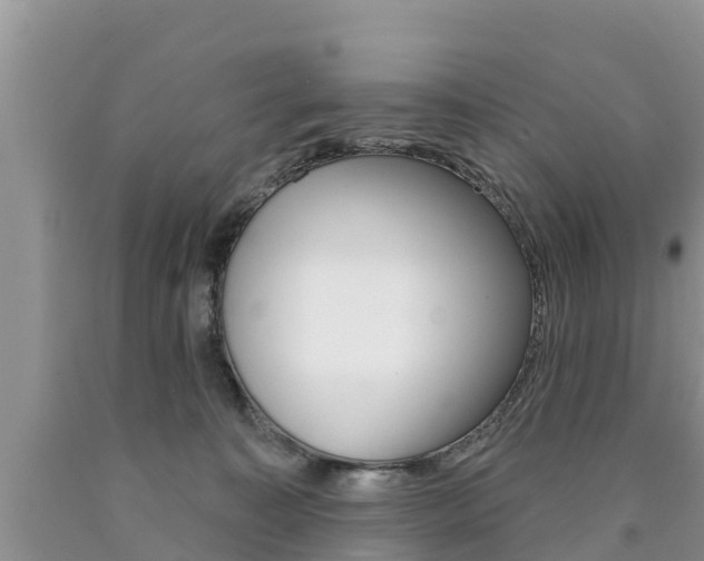 X0000090770323200707201119