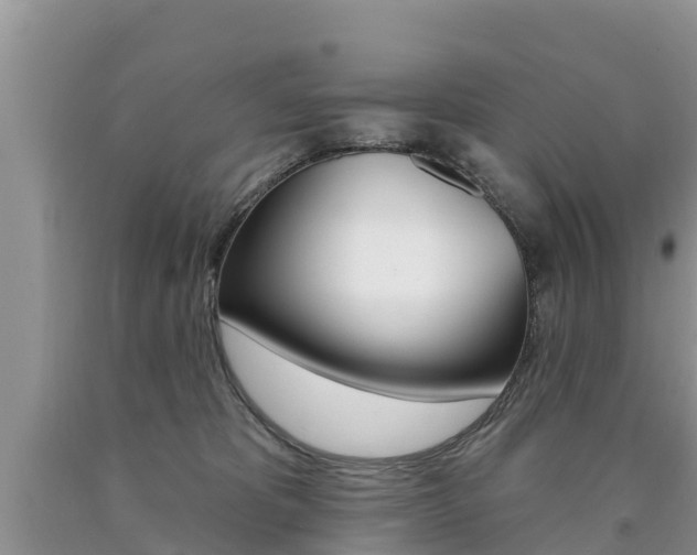 X0000090770325200707201119