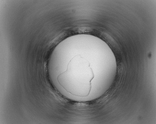 X0000090770327200707201119