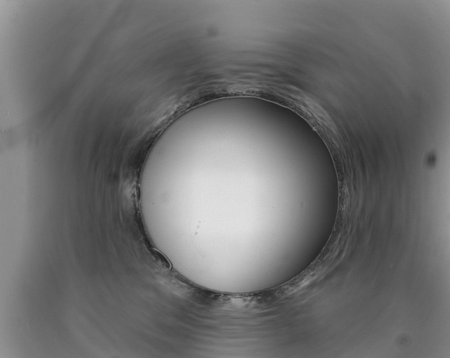 X0000090770329200707201119