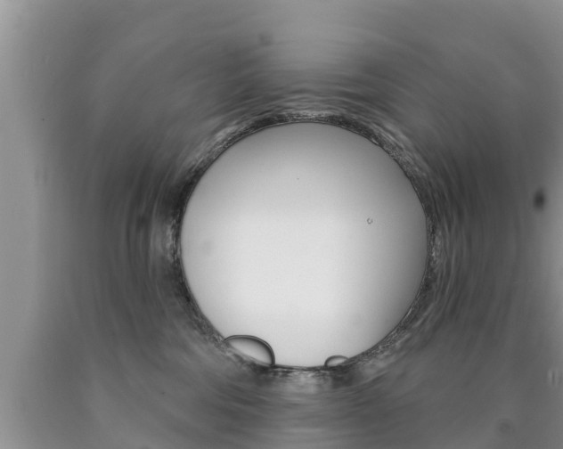 X0000090770330200707201119